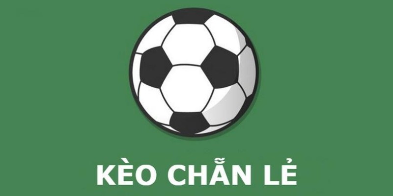 Kèo Nhà Cái 8XBET Đa Dạng - Cược Cực Đỉnh, Săn Thắng Lớn 3 Kèo nhà cái 8XBET theo dạng chẵn lẻ thú vị, đơn giản