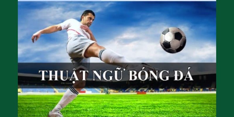 Thuật Ngữ Cá Độ Bóng Đá - Top 10 Khái Niệm Quan Trọng Cần Biết 1 Sơ lược về các thuật ngữ cá độ bóng đá